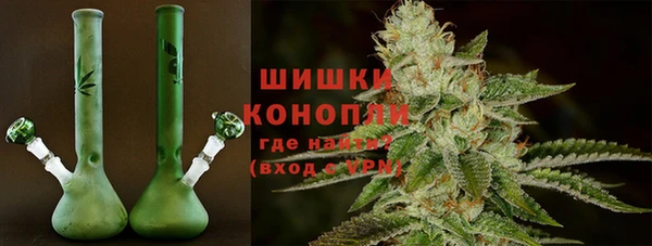 сатива Михайловск