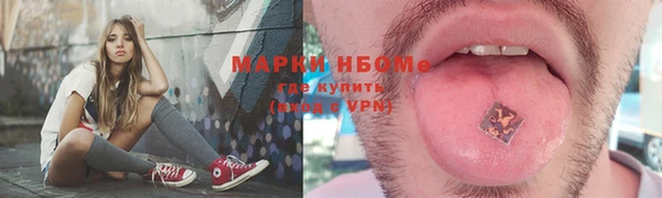 сатива Михайловск