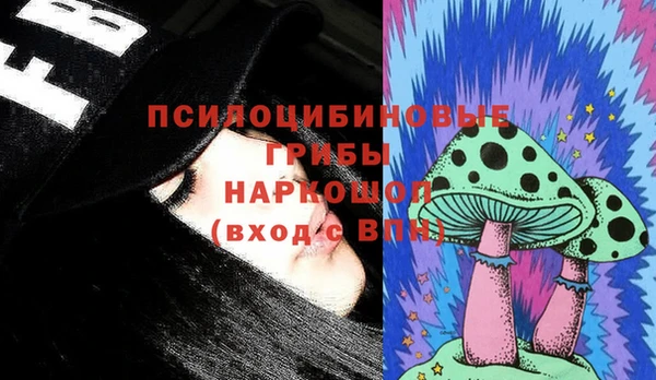 сатива Михайловск