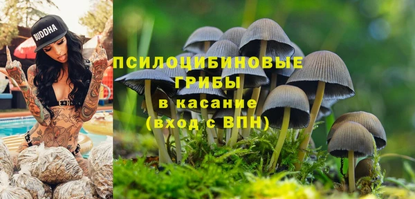 сатива Михайловск