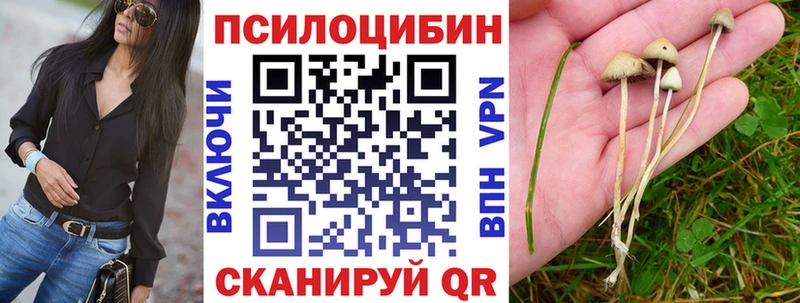 Галлюциногенные грибы Cubensis  даркнет сайт  Болгар 
